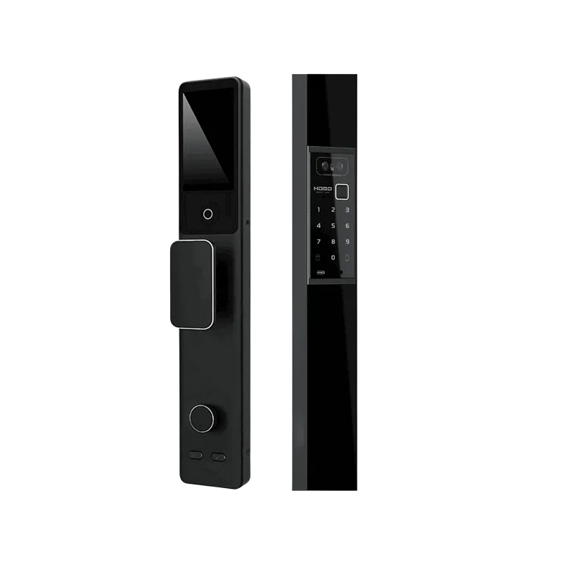 Электронный замок Hogo D01R